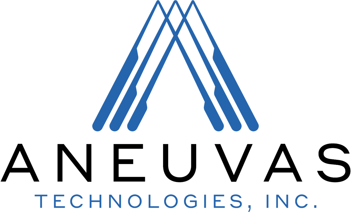 Aneuvas Technologies Inc.